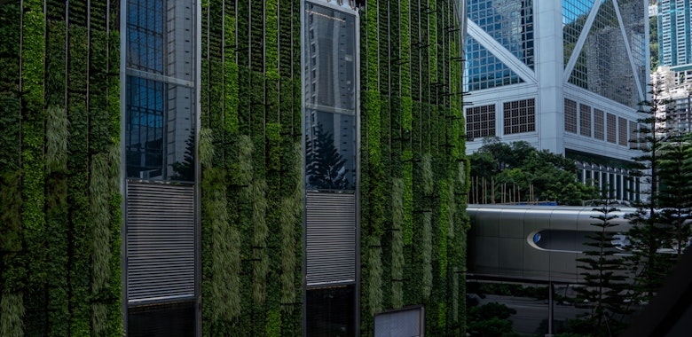 How Insurers Can Help Get The Global Economy To Net Zero