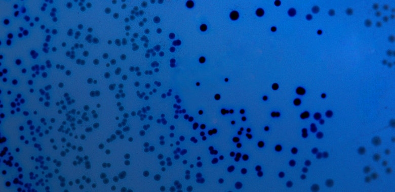 Genomics Holds The Secret To Healthier Aging And Life